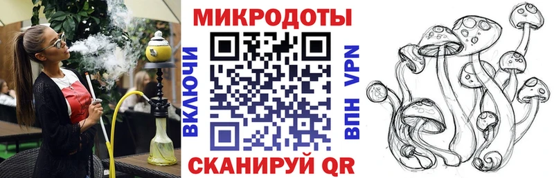 Псилоцибиновые грибы Psilocybe Пенза
