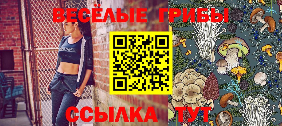 Псилоцибиновые грибы Cubensis Пенза